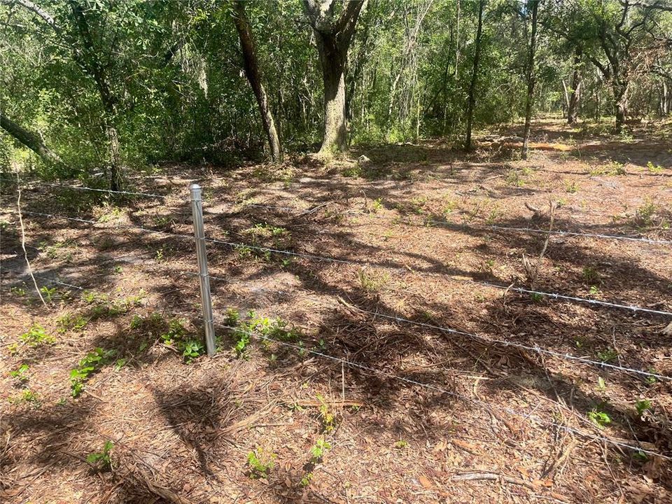 待售: $315,000 (12.55 acres)