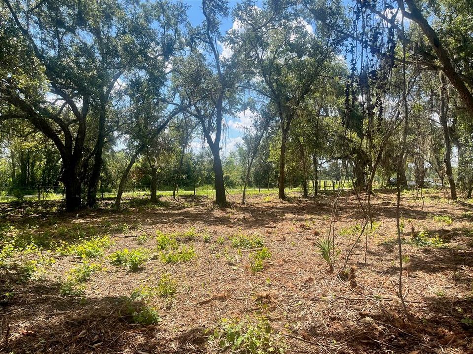 待售: $315,000 (12.55 acres)