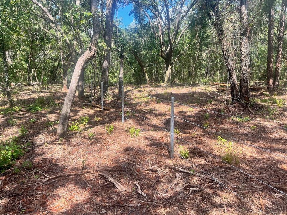 待售: $315,000 (12.55 acres)