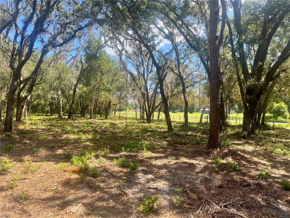 待售: $315,000 (12.55 acres)