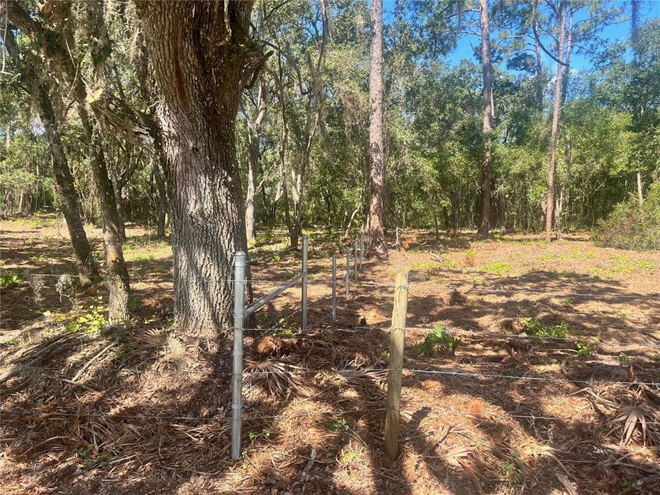 待售: $315,000 (12.55 acres)