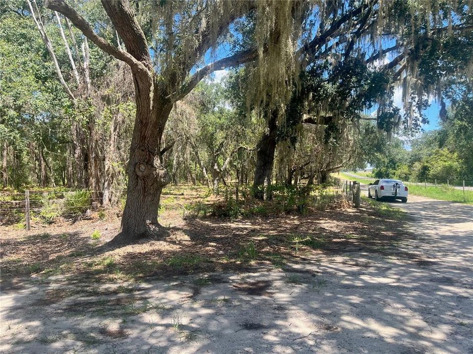 待售: $315,000 (12.55 acres)