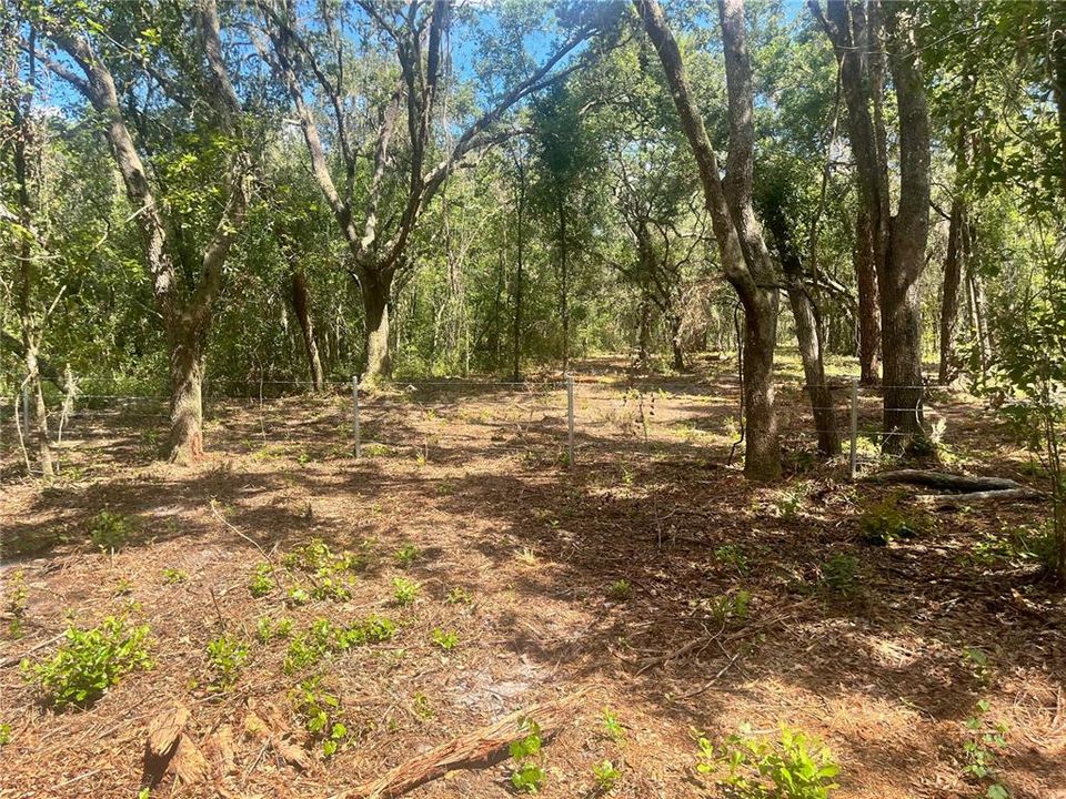 待售: $315,000 (12.55 acres)