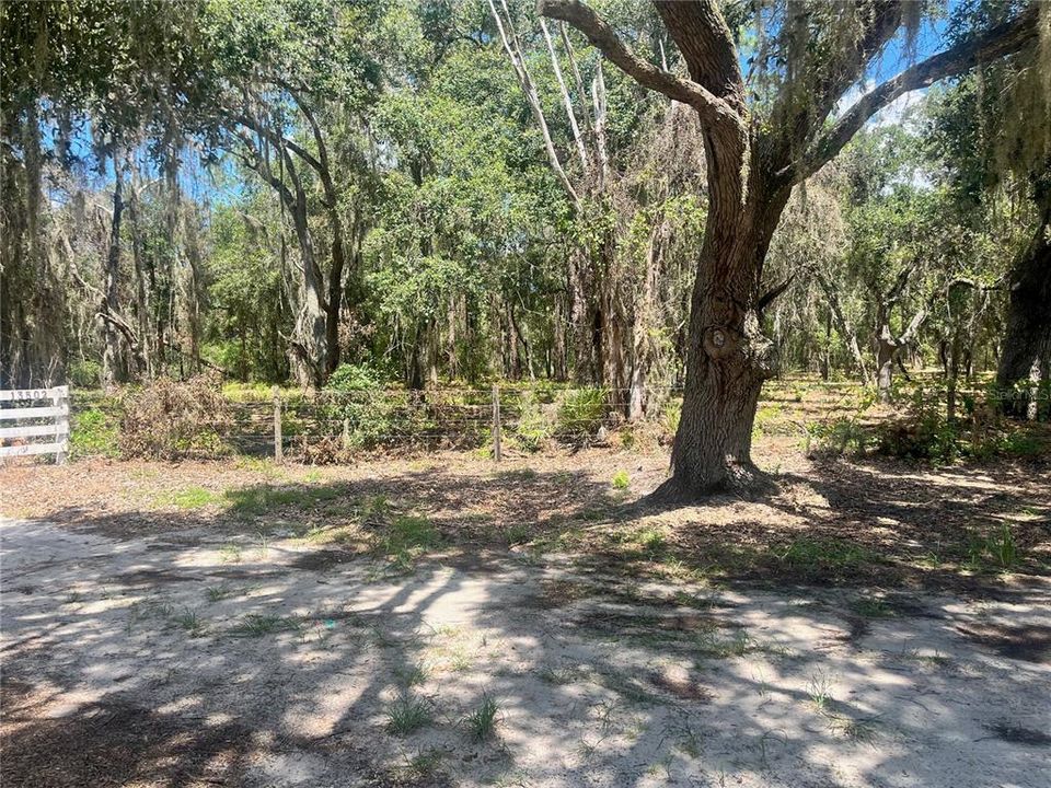 待售: $315,000 (12.55 acres)