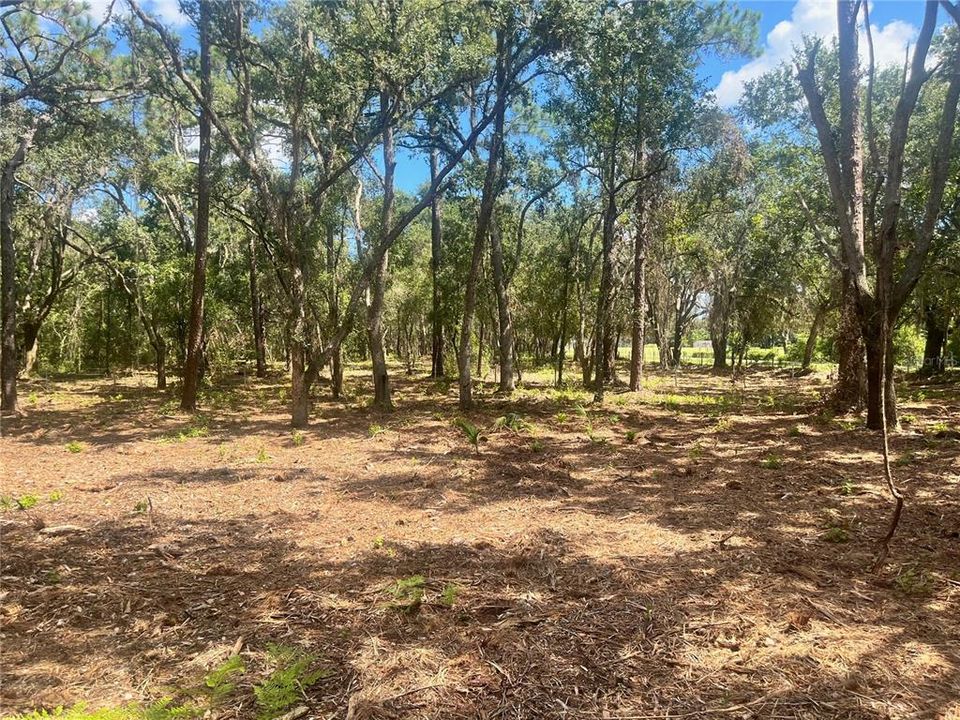 待售: $315,000 (12.55 acres)