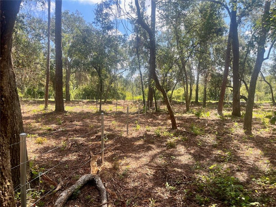 待售: $315,000 (12.55 acres)