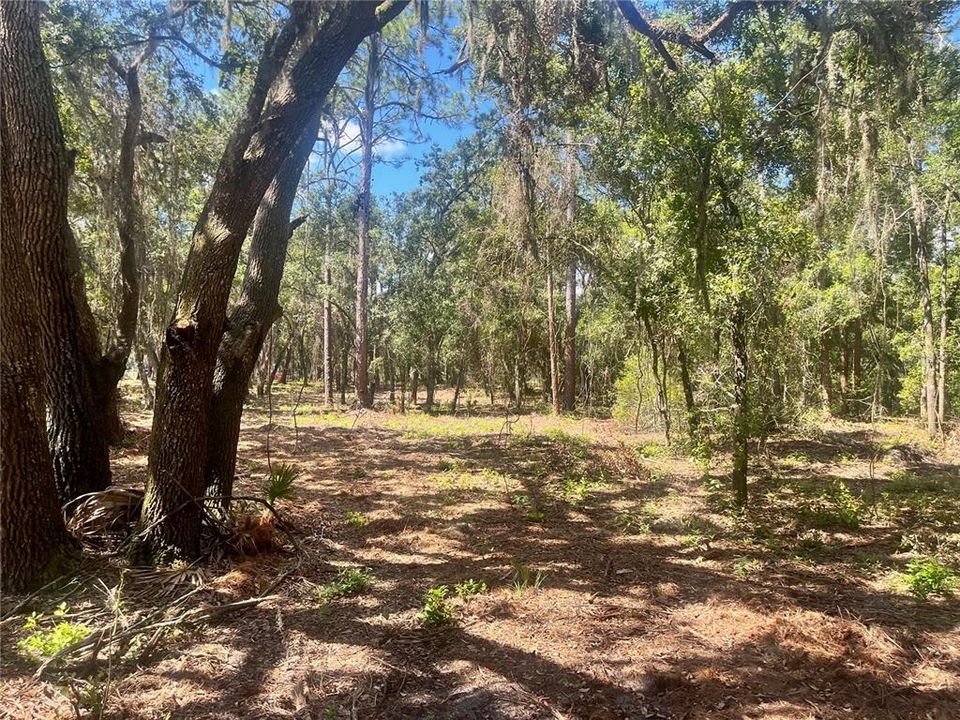 待售: $315,000 (12.55 acres)