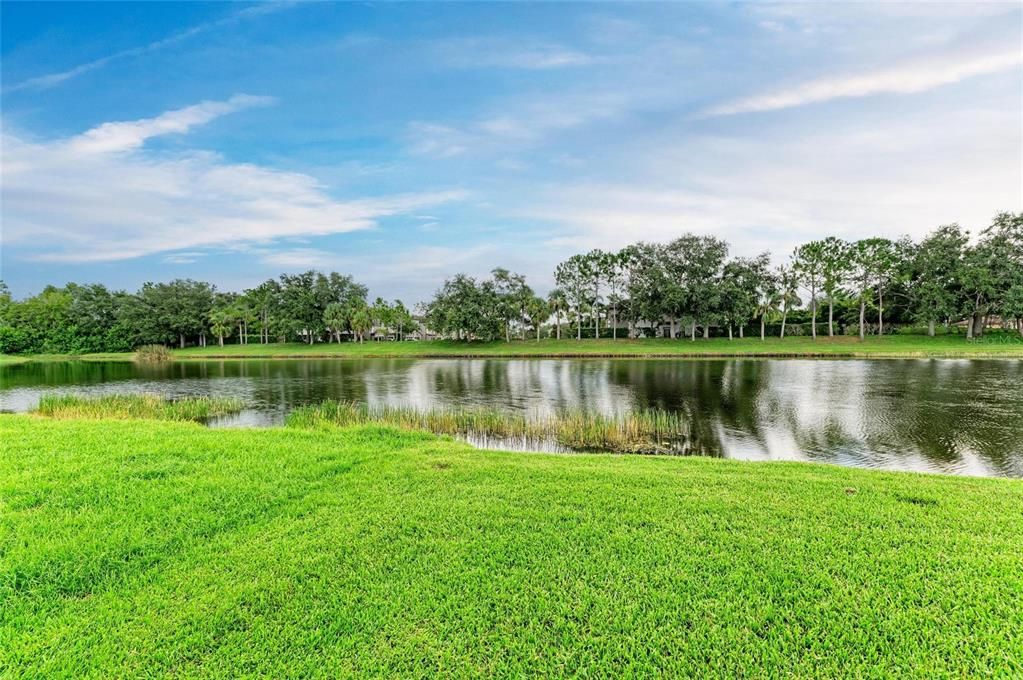 Под контрактом: $379,500 (2 спален, 2 ванн, 1603 Квадратных фут)