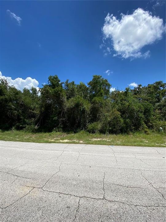 Active With Contract: $70,000 (0.41 acres)