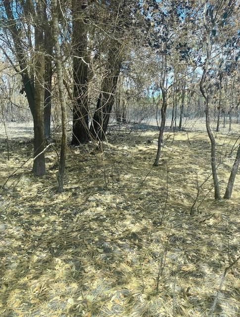 For Sale: $22,500 (1.25 acres)