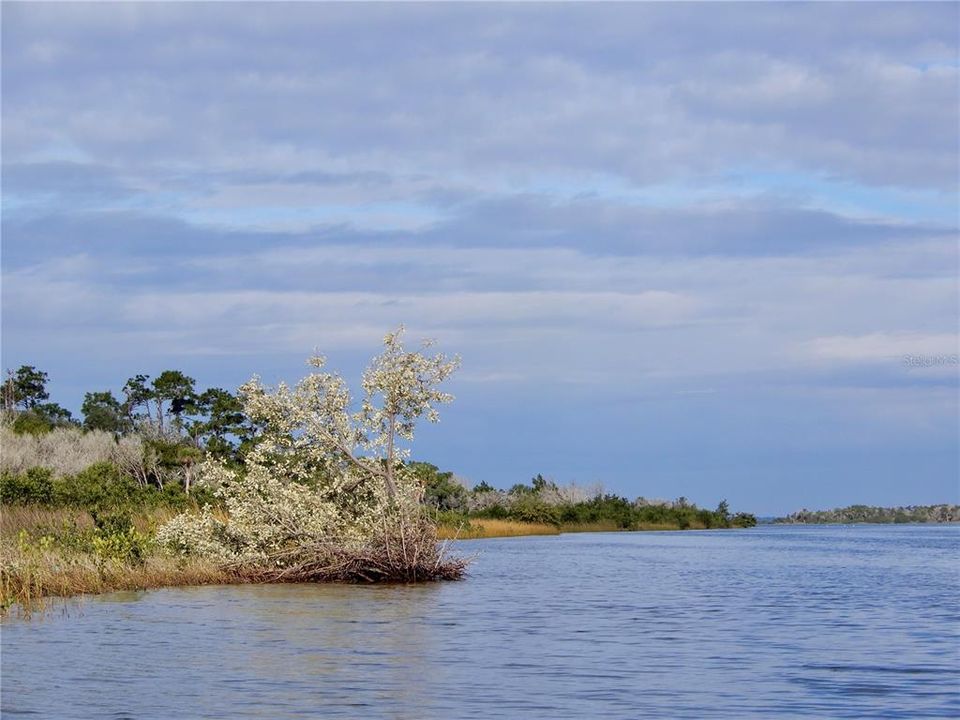 待售: $950,000 (3 贝兹, 2 浴室, 2512 平方英尺)