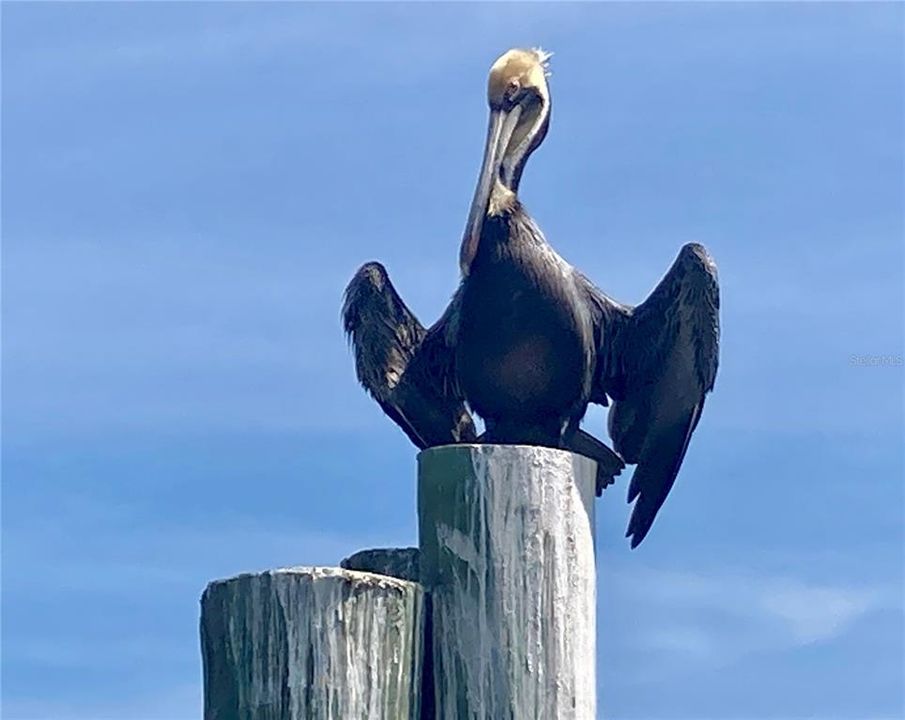 待售: $950,000 (3 贝兹, 2 浴室, 2512 平方英尺)