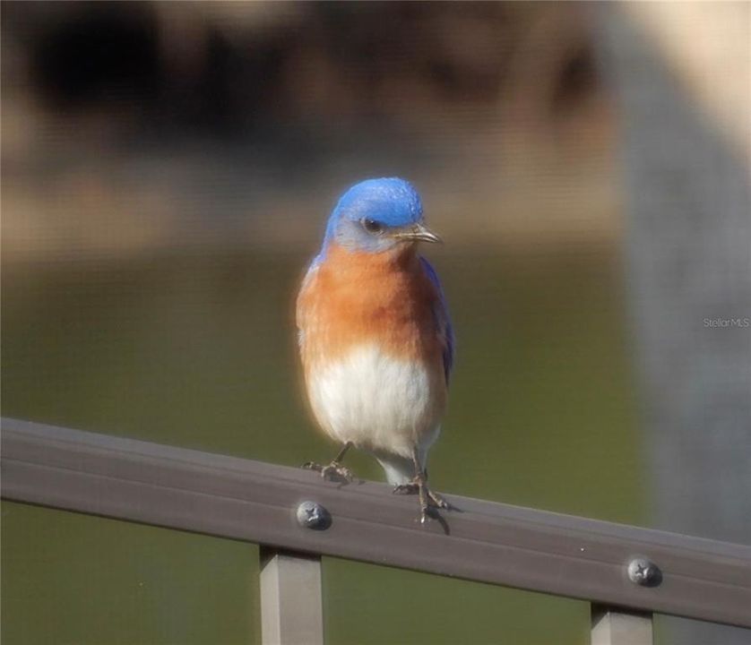 待售: $950,000 (3 贝兹, 2 浴室, 2512 平方英尺)