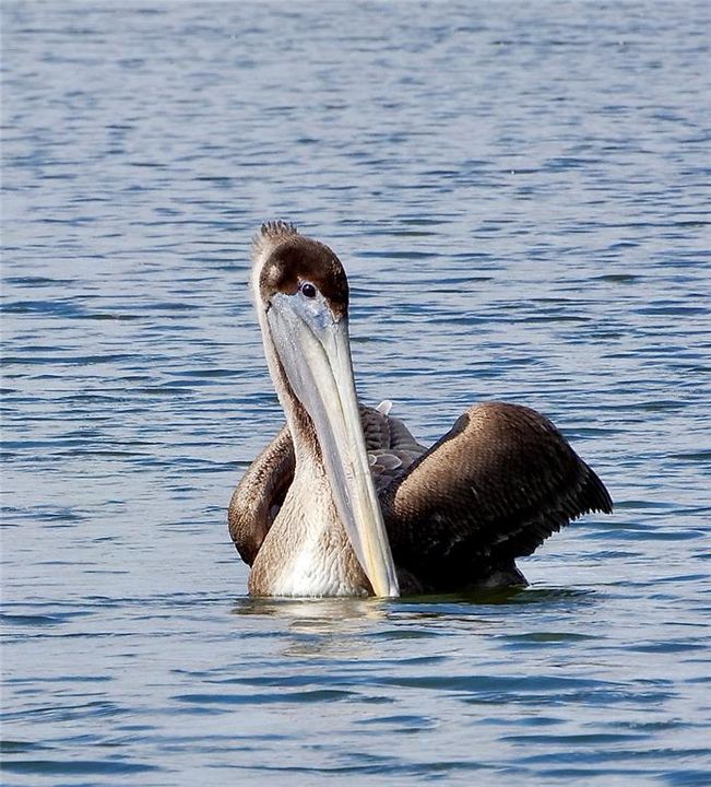 待售: $950,000 (3 贝兹, 2 浴室, 2512 平方英尺)