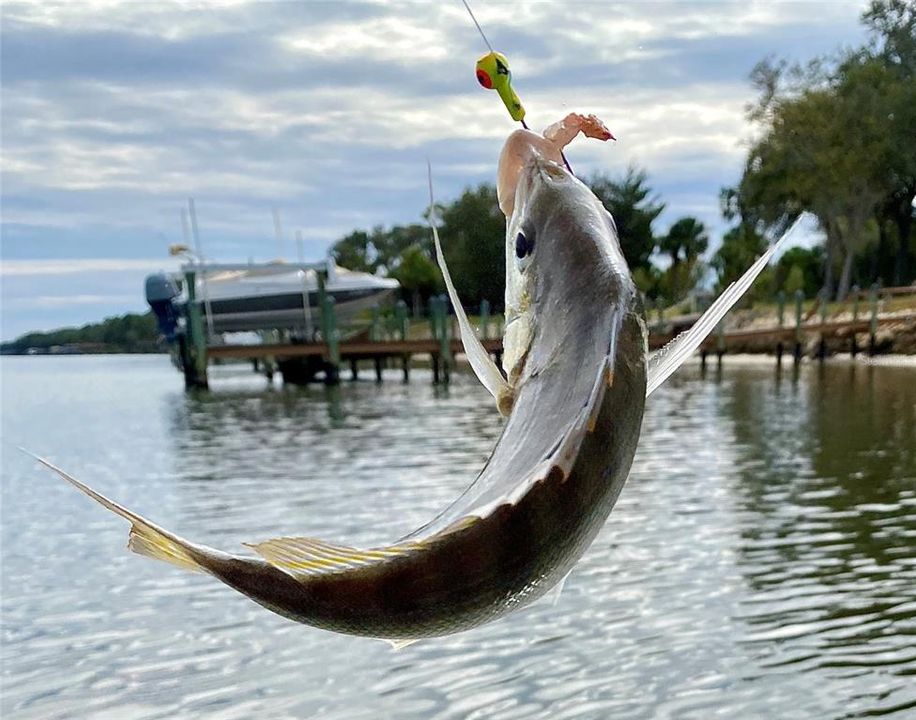 待售: $950,000 (3 贝兹, 2 浴室, 2512 平方英尺)