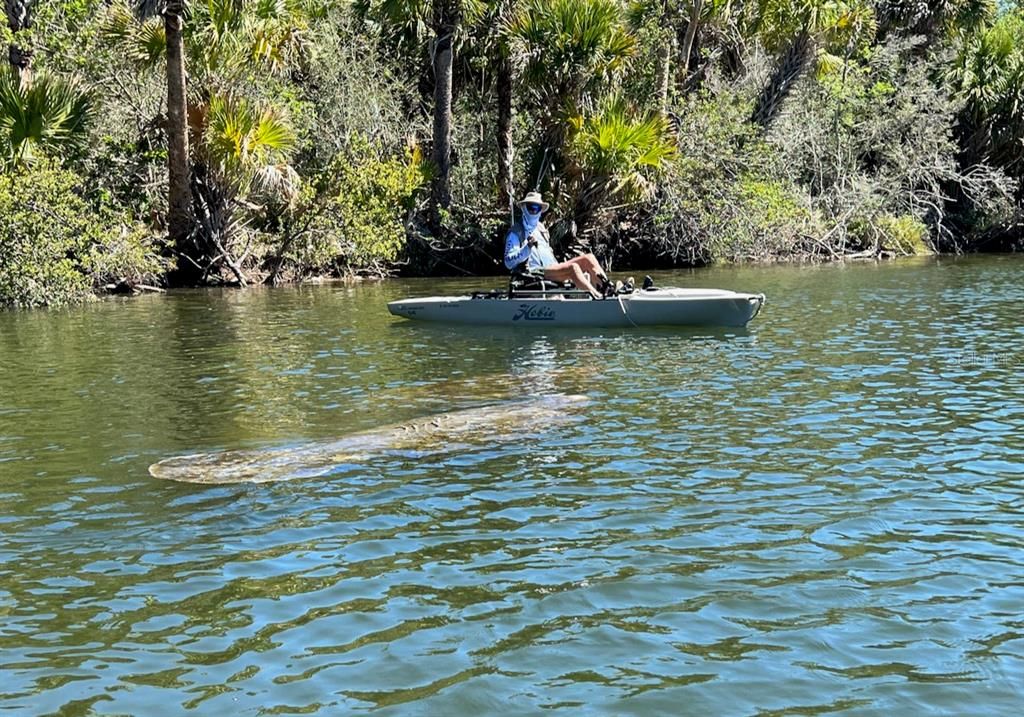 待售: $950,000 (3 贝兹, 2 浴室, 2512 平方英尺)