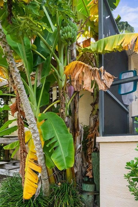 待售: $950,000 (3 贝兹, 2 浴室, 2512 平方英尺)