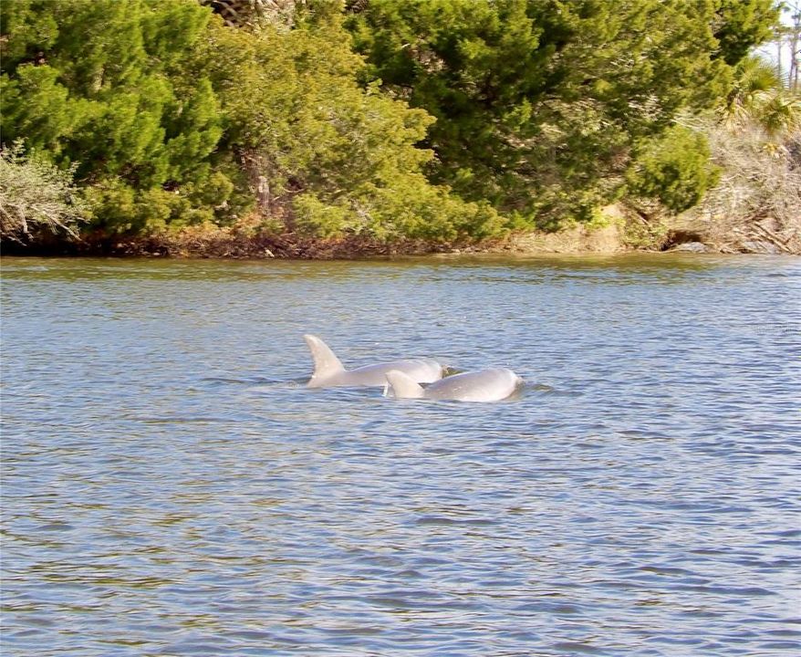 待售: $950,000 (3 贝兹, 2 浴室, 2512 平方英尺)