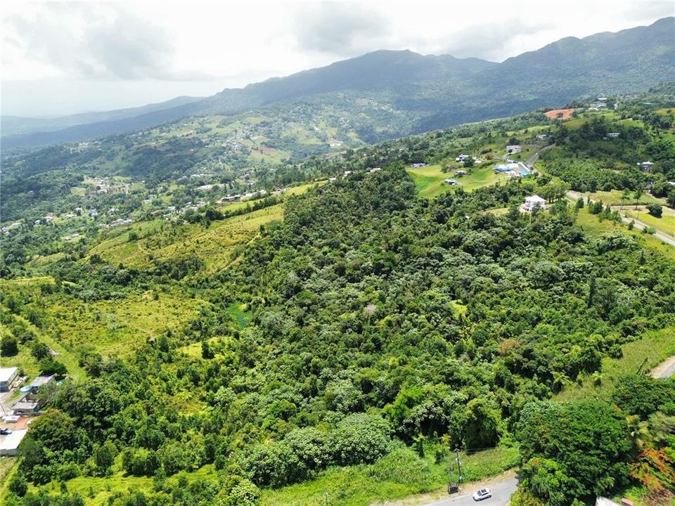 待售: $450,000 (8.64 acres)