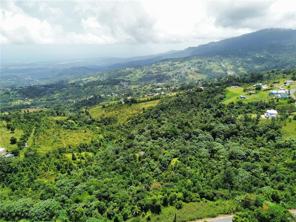 待售: $450,000 (8.64 acres)