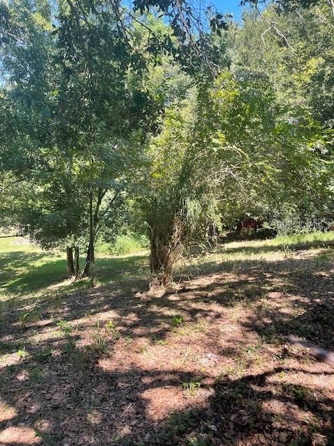 Под контрактом: $260,000 (3 спален, 2 ванн, 1072 Квадратных фут)