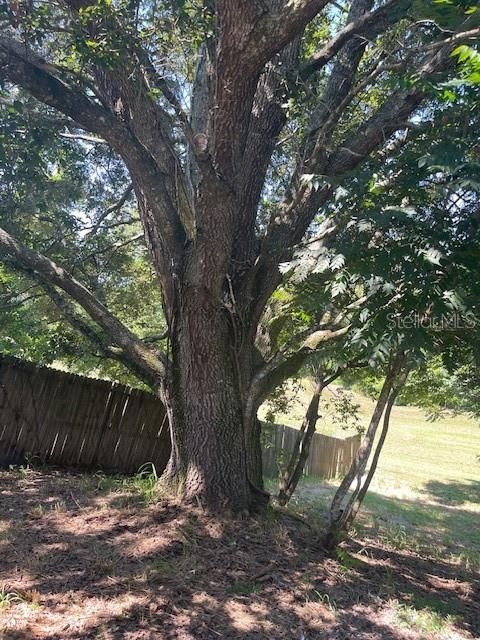 Под контрактом: $260,000 (3 спален, 2 ванн, 1072 Квадратных фут)