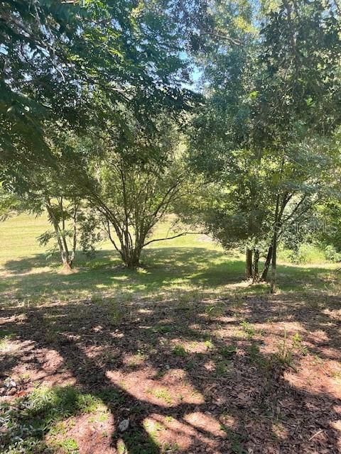 Под контрактом: $260,000 (3 спален, 2 ванн, 1072 Квадратных фут)