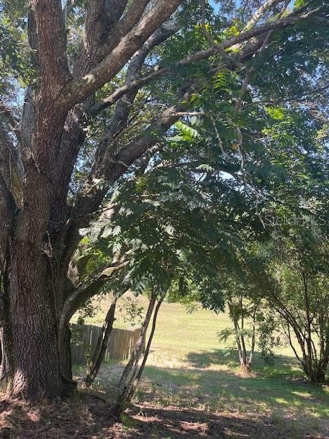 Под контрактом: $260,000 (3 спален, 2 ванн, 1072 Квадратных фут)