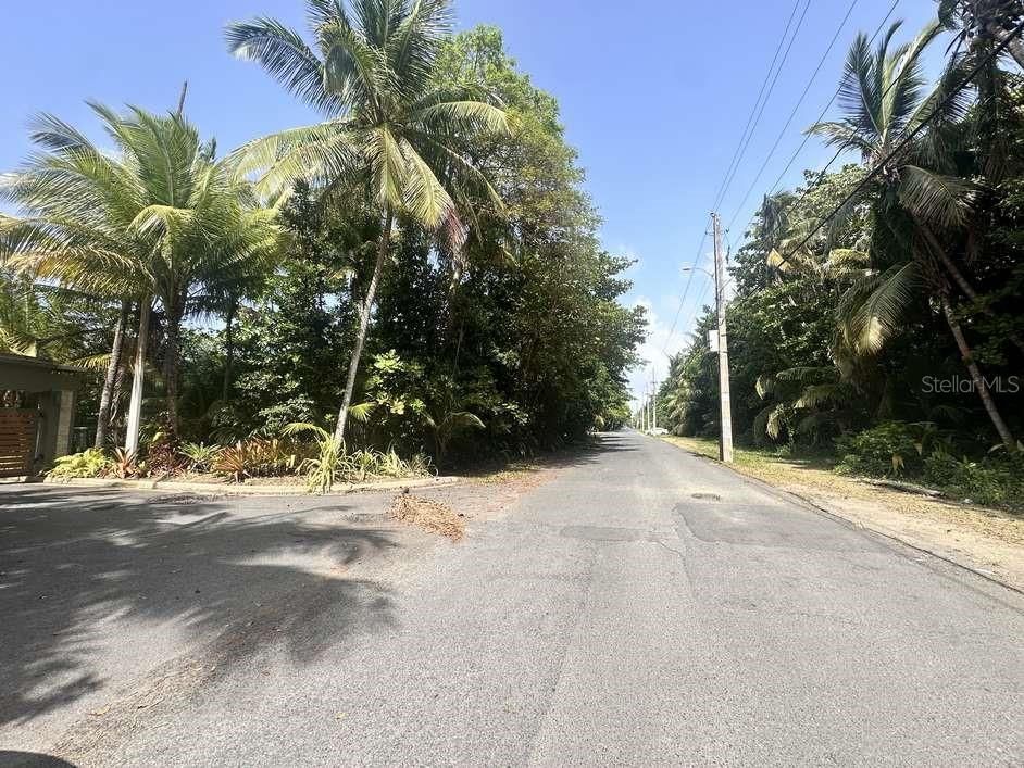 На продажу: $297,000 (25.00 acres)