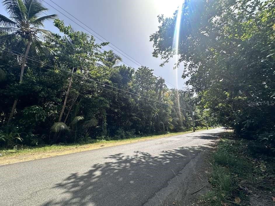 На продажу: $297,000 (25.00 acres)