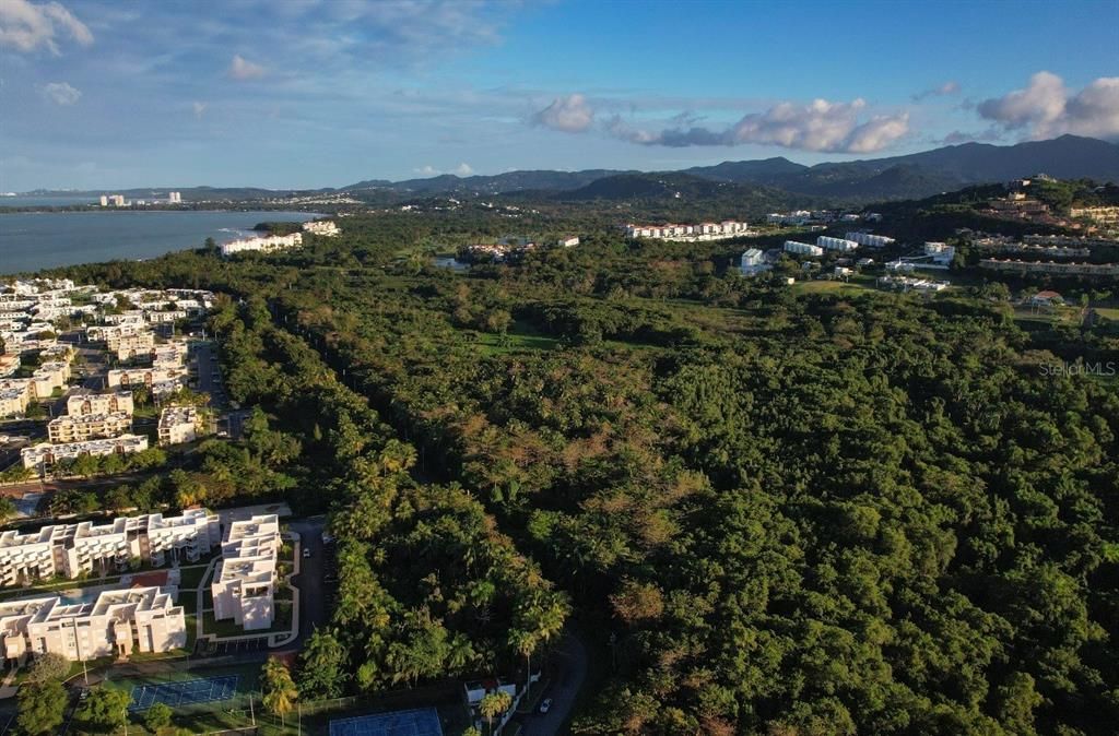 En Venta: $297,000 (25.00 acres)