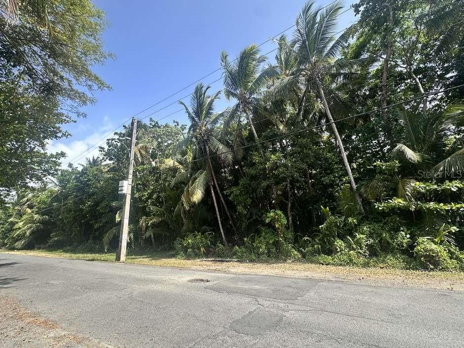 На продажу: $297,000 (25.00 acres)