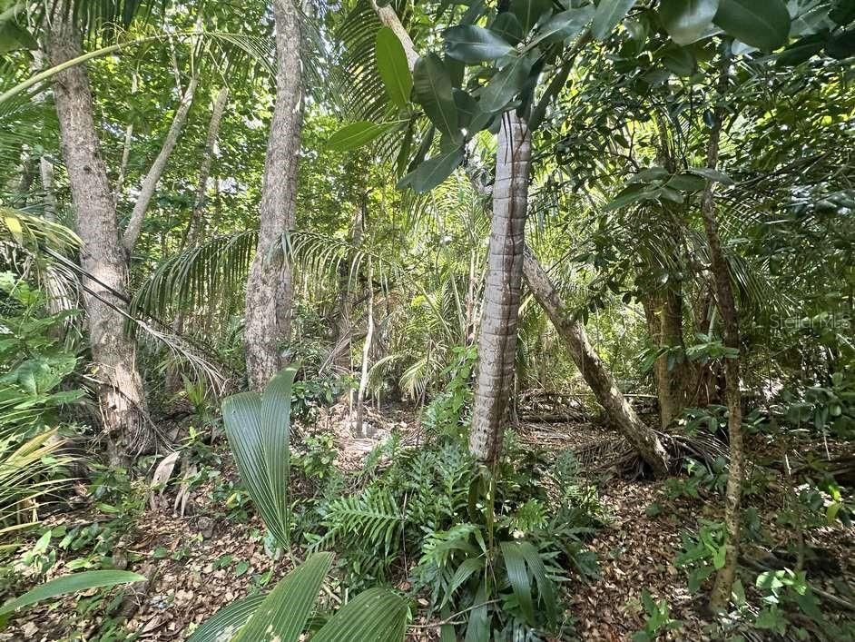 На продажу: $297,000 (25.00 acres)