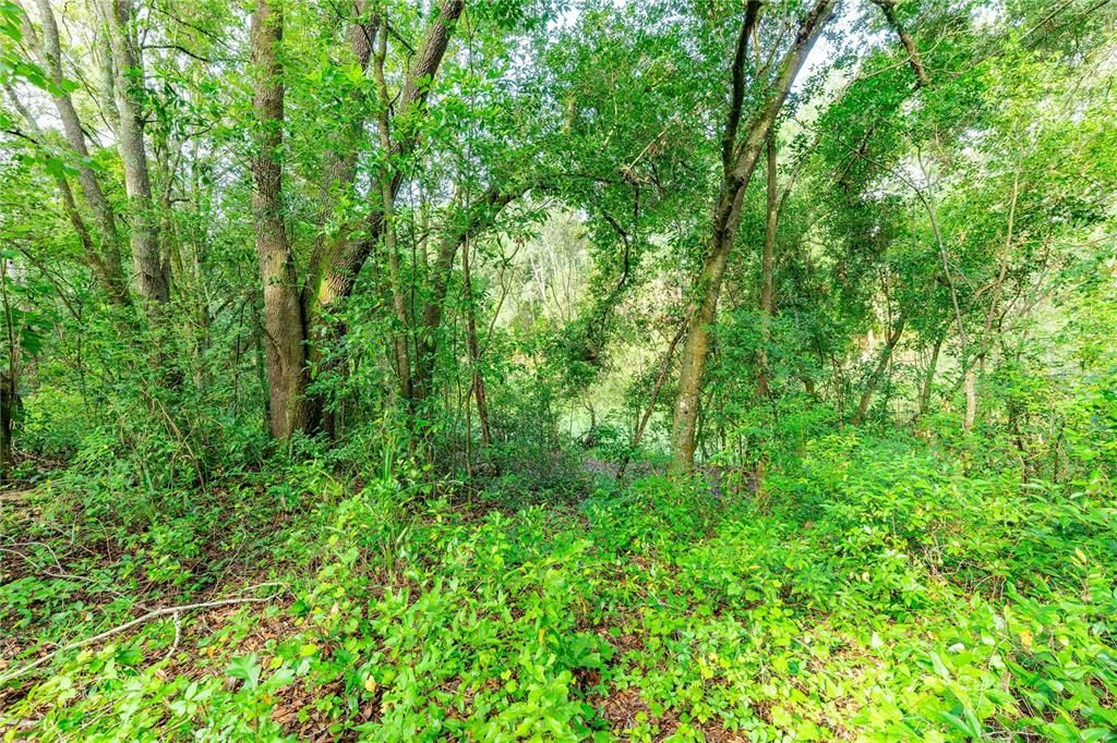 待售: $549,000 (5.10 acres)