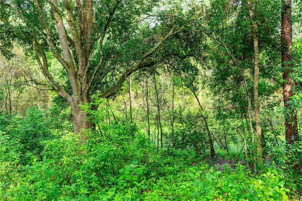 待售: $549,000 (5.10 acres)