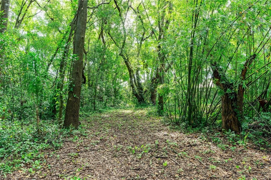 待售: $549,000 (5.10 acres)