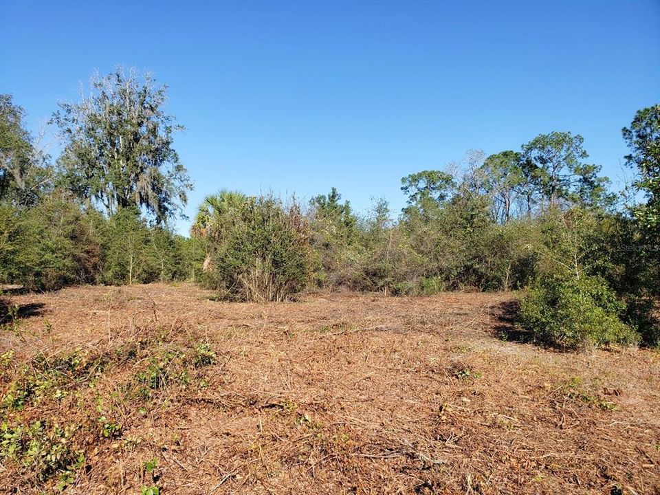 For Sale: $124,640 (13.12 acres)