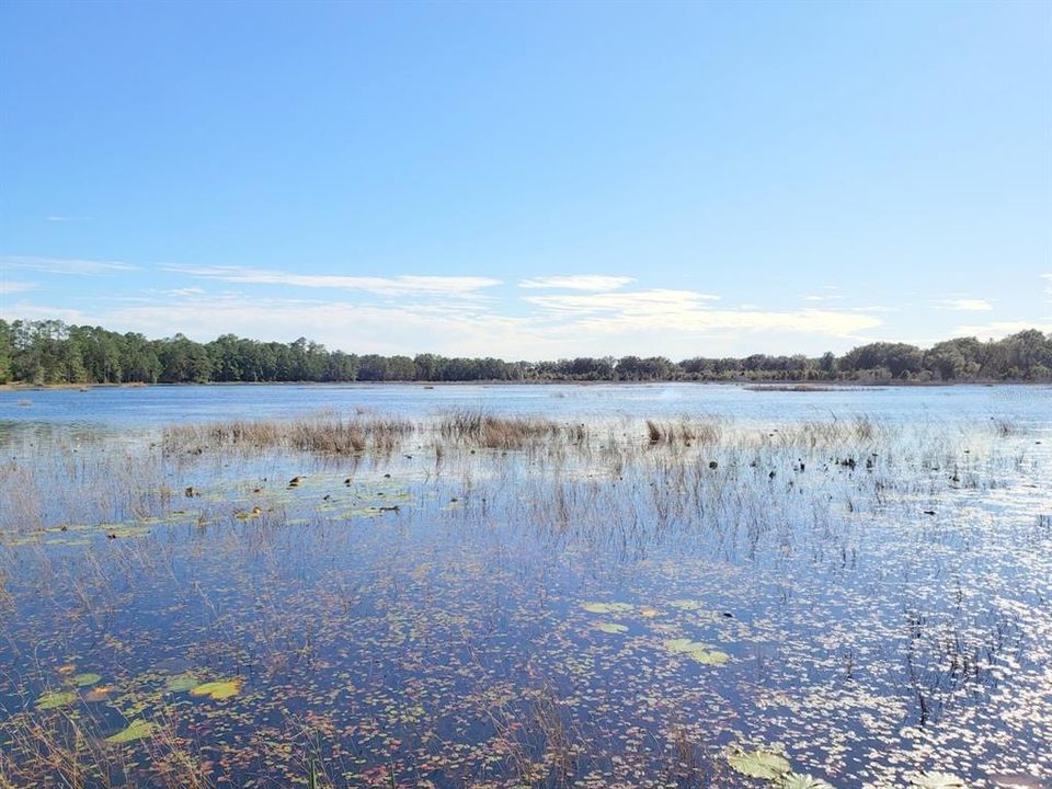 For Sale: $124,640 (13.12 acres)