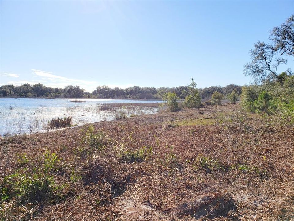 For Sale: $124,640 (13.12 acres)