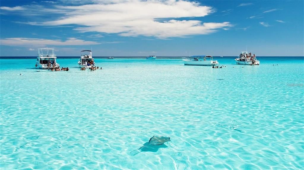 В аренду: $6,800 (5 спален, 4 ванн, 2600 Квадратных фут)