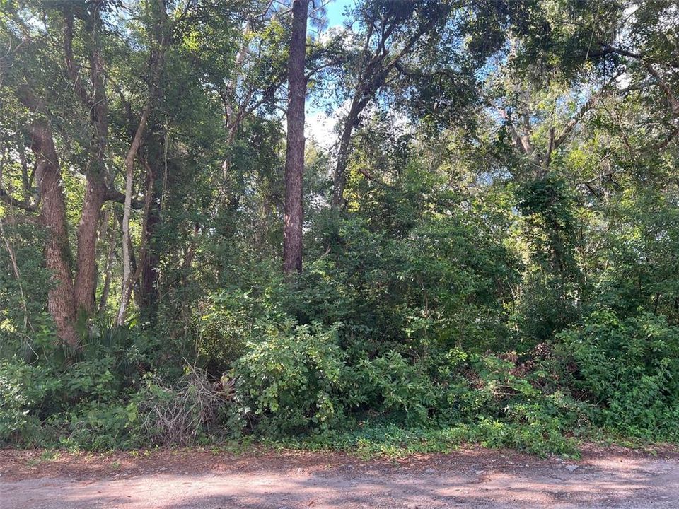 待售: $85,000 (0.29 acres)