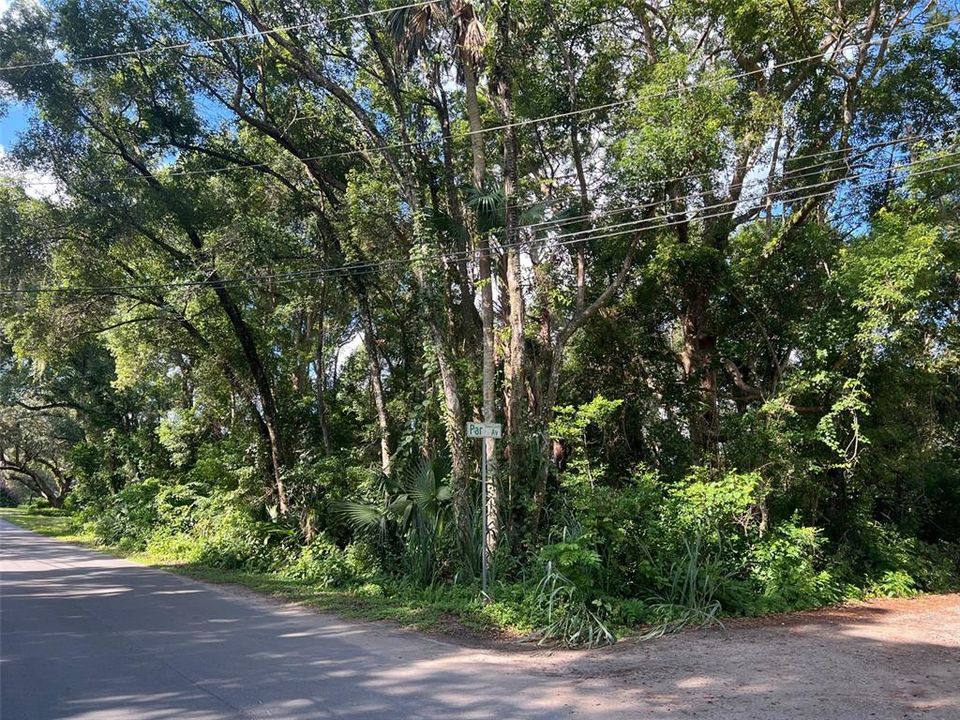 待售: $85,000 (0.29 acres)