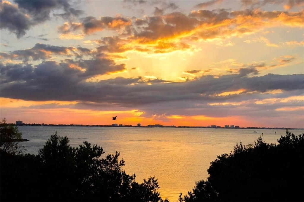 На продажу: $2,499,000 (5 спален, 5 ванн, 2753 Квадратных фут)