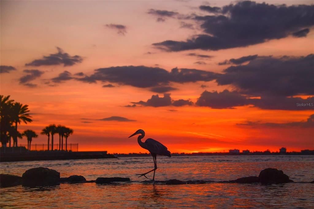 На продажу: $2,499,000 (5 спален, 5 ванн, 2753 Квадратных фут)