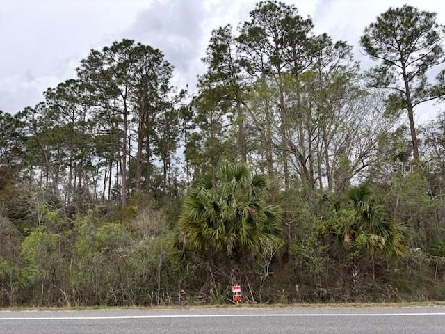 待售: $19,900 (0.20 acres)