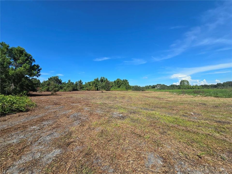 For Sale: $379,900 (21.80 acres)