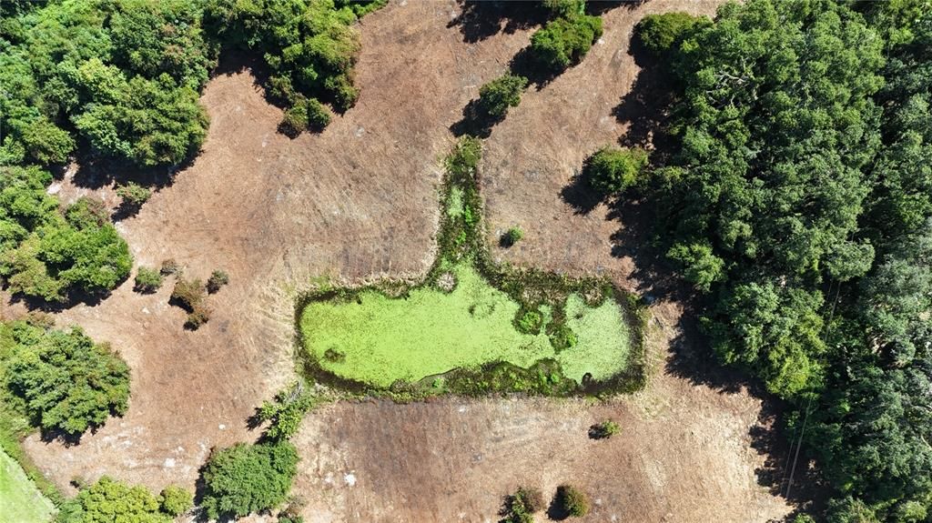 For Sale: $379,900 (21.80 acres)