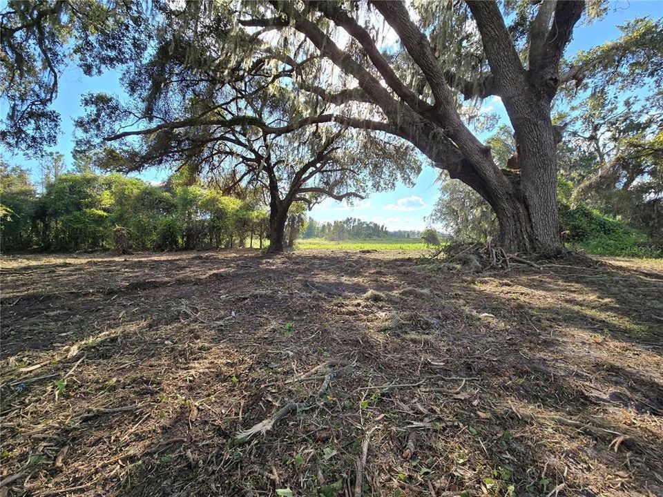 For Sale: $379,900 (21.80 acres)