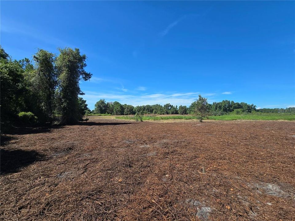 For Sale: $379,900 (21.80 acres)