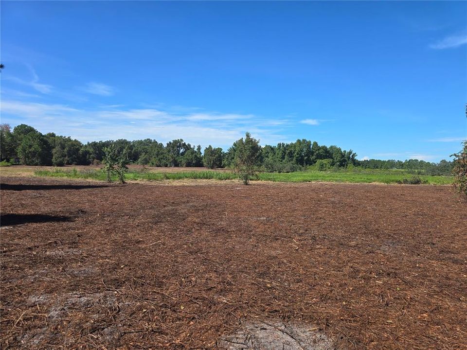 For Sale: $379,900 (21.80 acres)